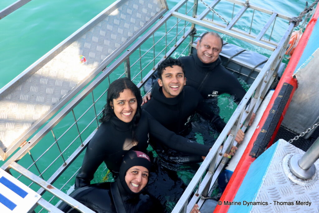 Shark cage diving, Gansbaai, South Africa