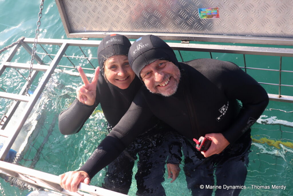 Shark cage diving, Gansbaai, South Africa