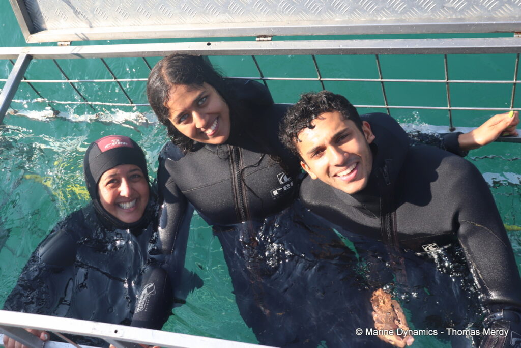 Shark cage diving, Gansbaai, South Africa