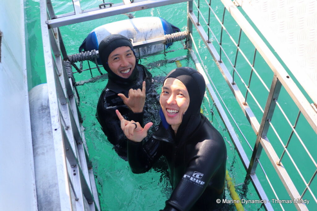 Shark cage diving, Gansbaai, South Africa