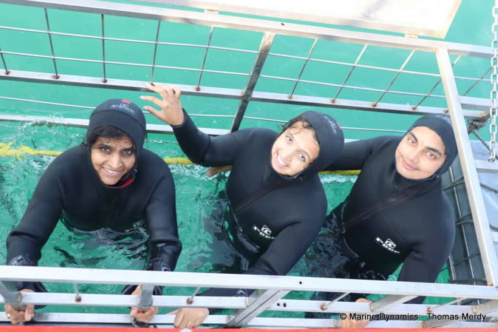 Shark cage diving, Gansbaai, South Africa