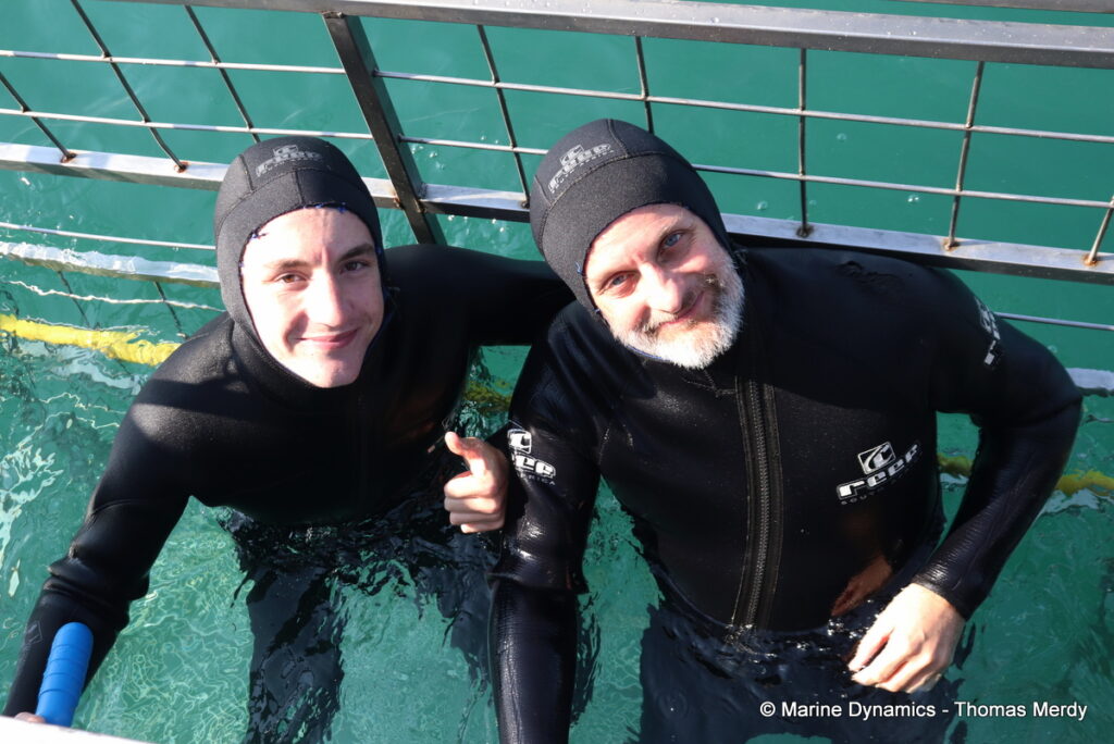 Shark cage diving, Gansbaai, South Africa