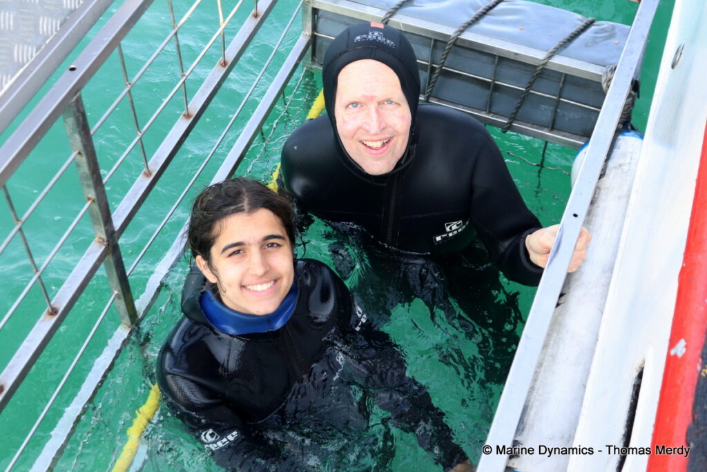 Shark cage diving, Gansbaai, South Africa