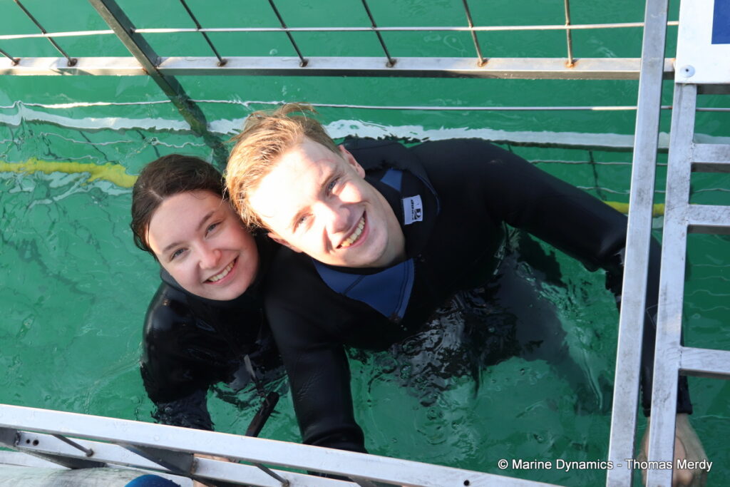Shark cage diving, Gansbaai, South Africa