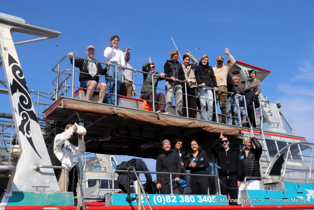 Shark cage diving, Gansbaai, South Africa