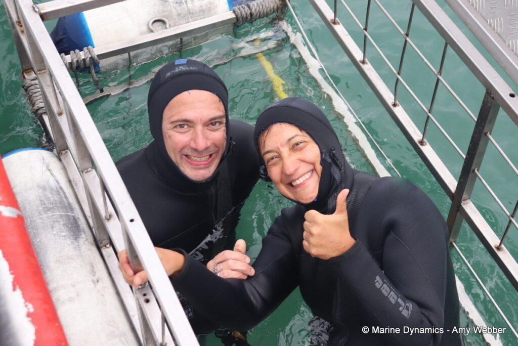 Shark cage diving, Gansbaai, South Africa
