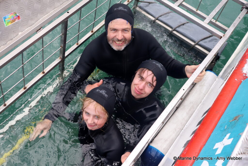Shark cage diving, Gansbaai, South Africa