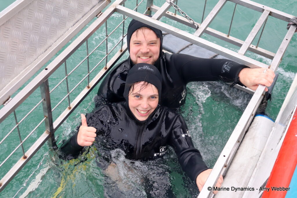 Shark cage diving, Gansbaai, South Africa