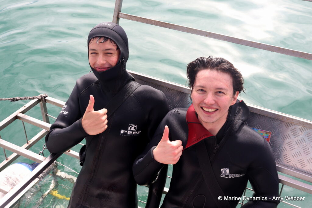 Shark cage diving, Gansbaai, South Africa