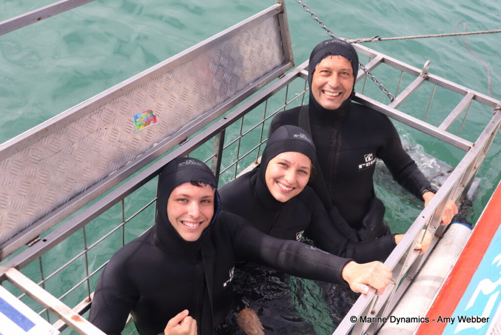 Shark cage diving, Gansbaai, South Africa