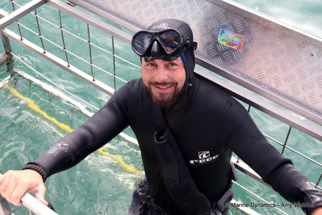 Shark cage diving, Gansbaai, South Africa