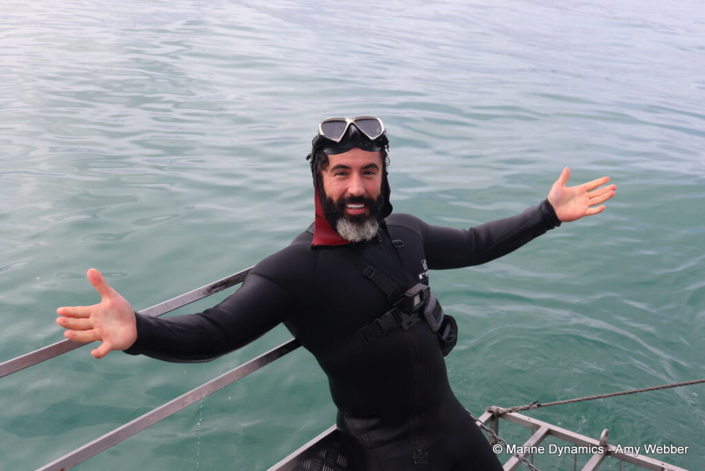 Shark cage diving, Gansbaai, South Africa