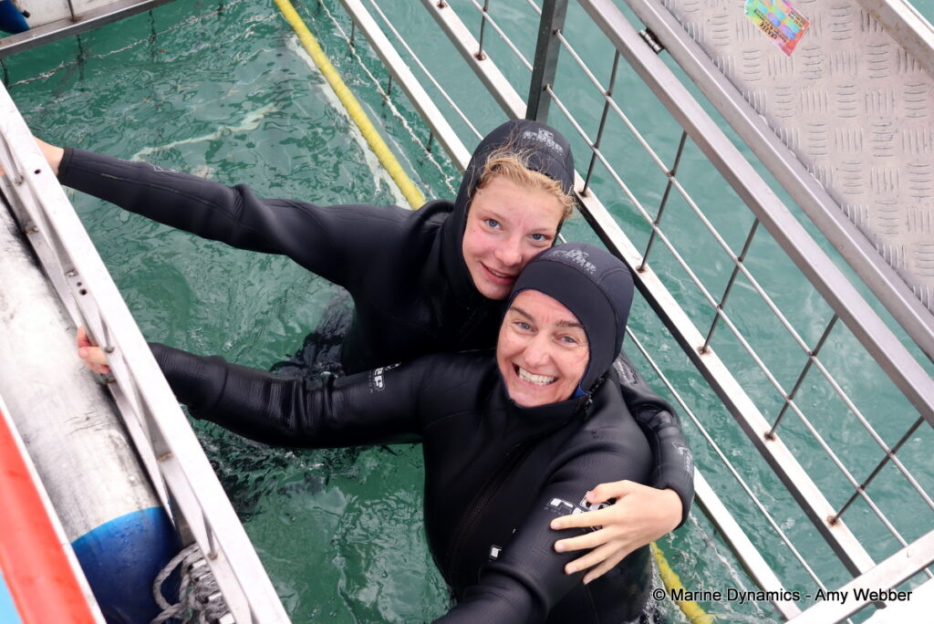 Shark cage diving, Gansbaai, South Africa