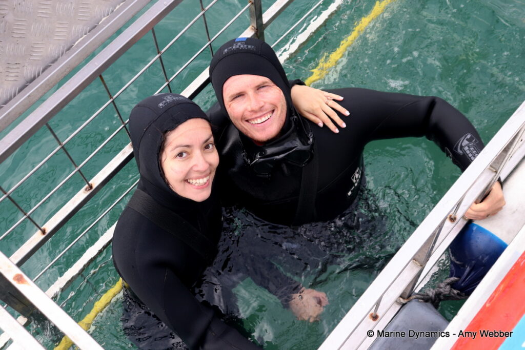Shark cage diving, Gansbaai, South Africa