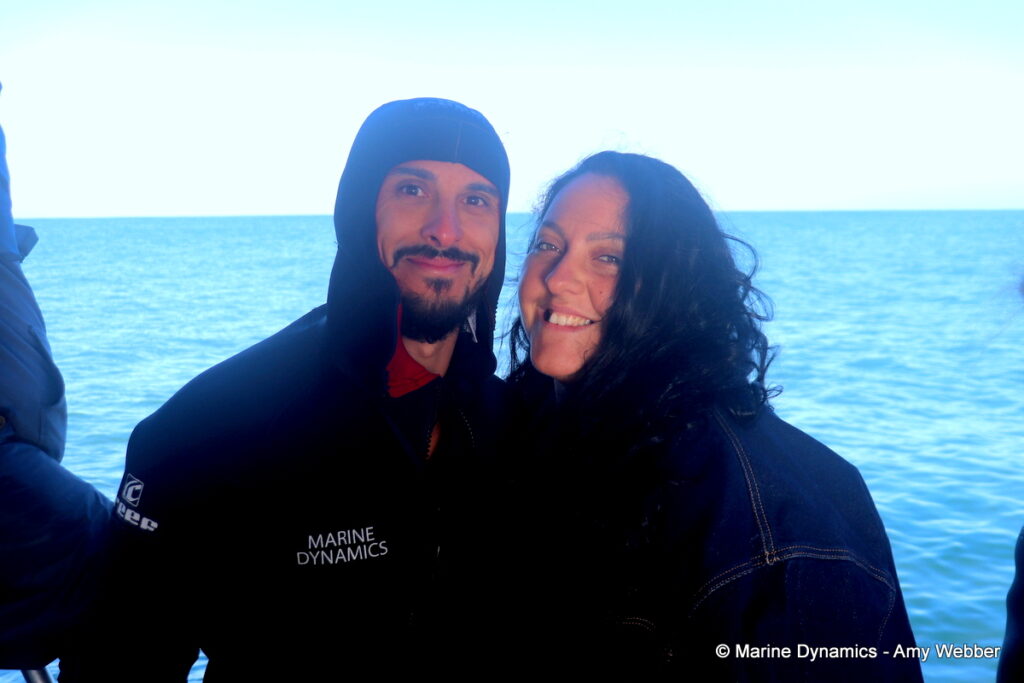 Shark cage diving, Gansbaai, South Africa
