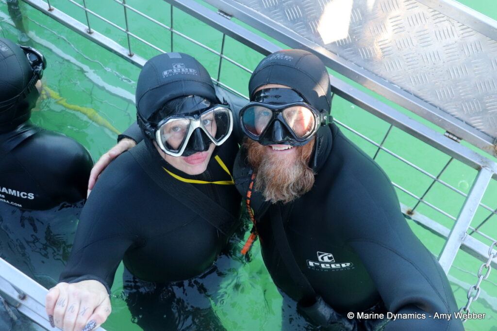 Shark cage diving, Gansbaai, South Africa