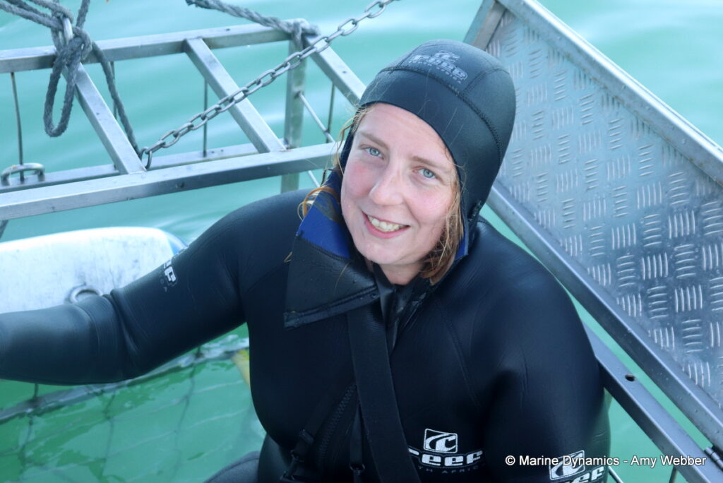 Shark cage diving, Gansbaai, South Africa