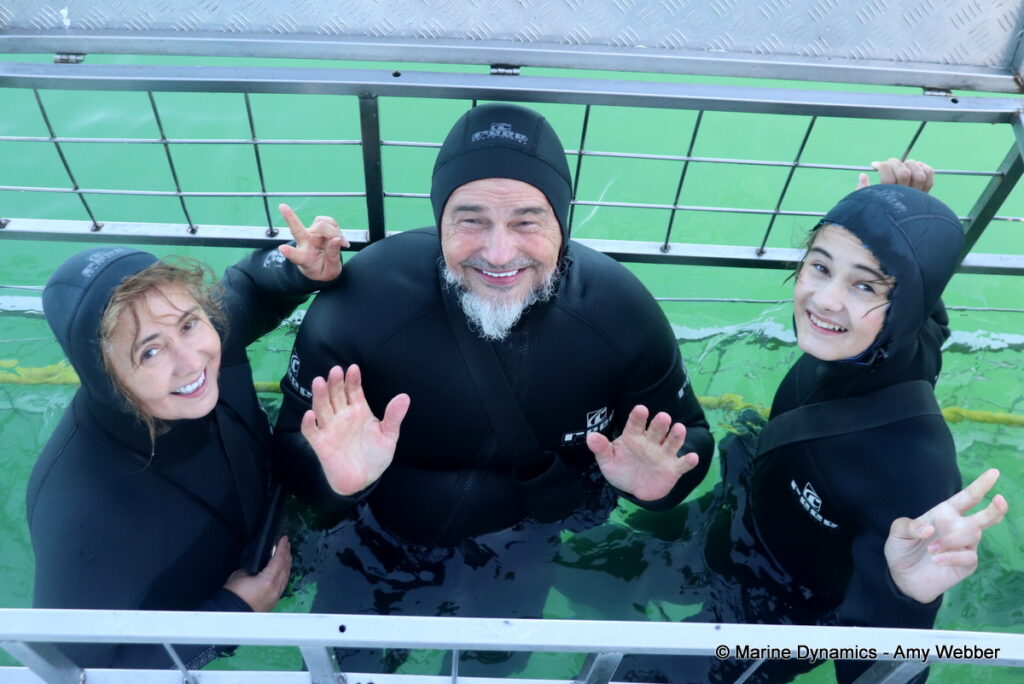 Shark cage diving, Gansbaai, South Africa