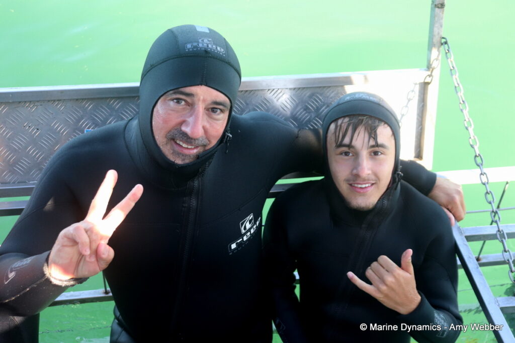 Shark cage diving, Gansbaai, South Africa