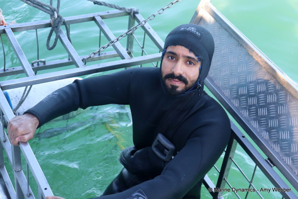 Shark cage diving, Gansbaai, South Africa