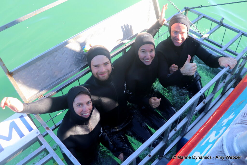 Shark cage diving, Gansbaai, South Africa