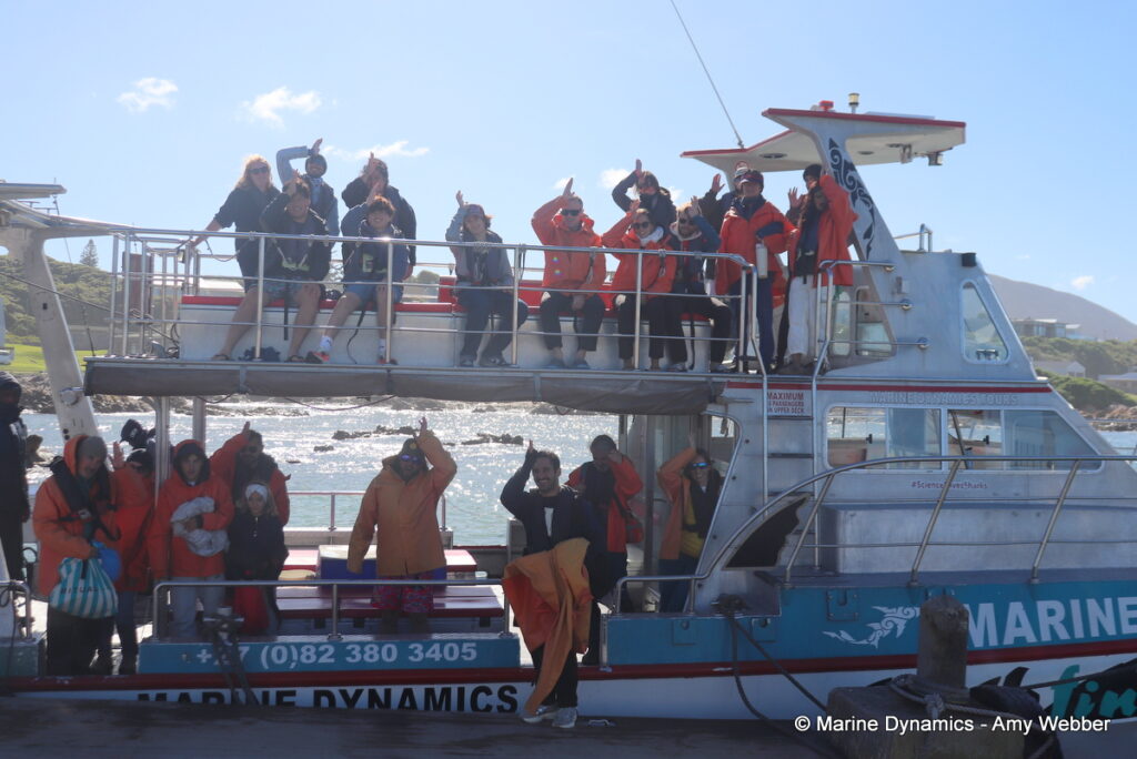 Shark cage diving, Gansbaai, South Africa