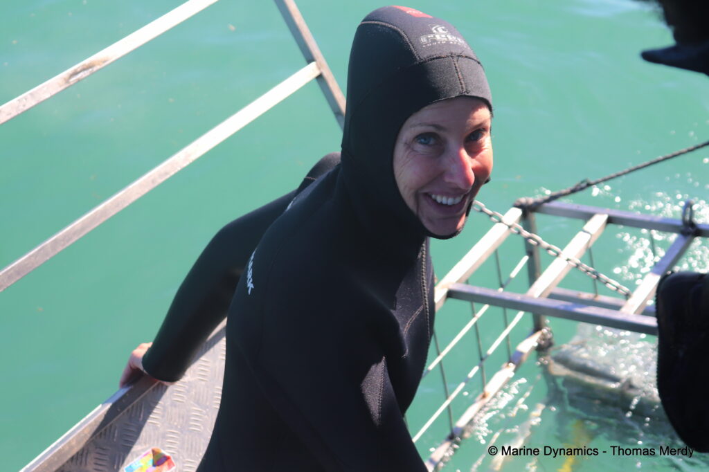 Shark cage diving, South Africa, Gansbaai
