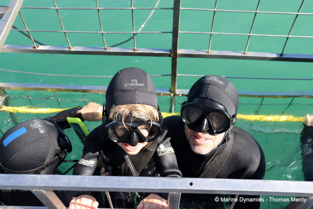 Shark cage diving, South Africa, Gansbaai