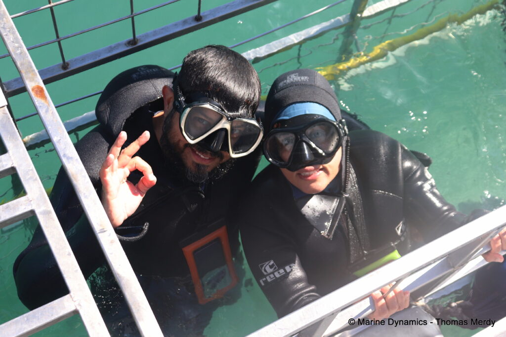 Shark cage diving, South Africa, Gansbaai