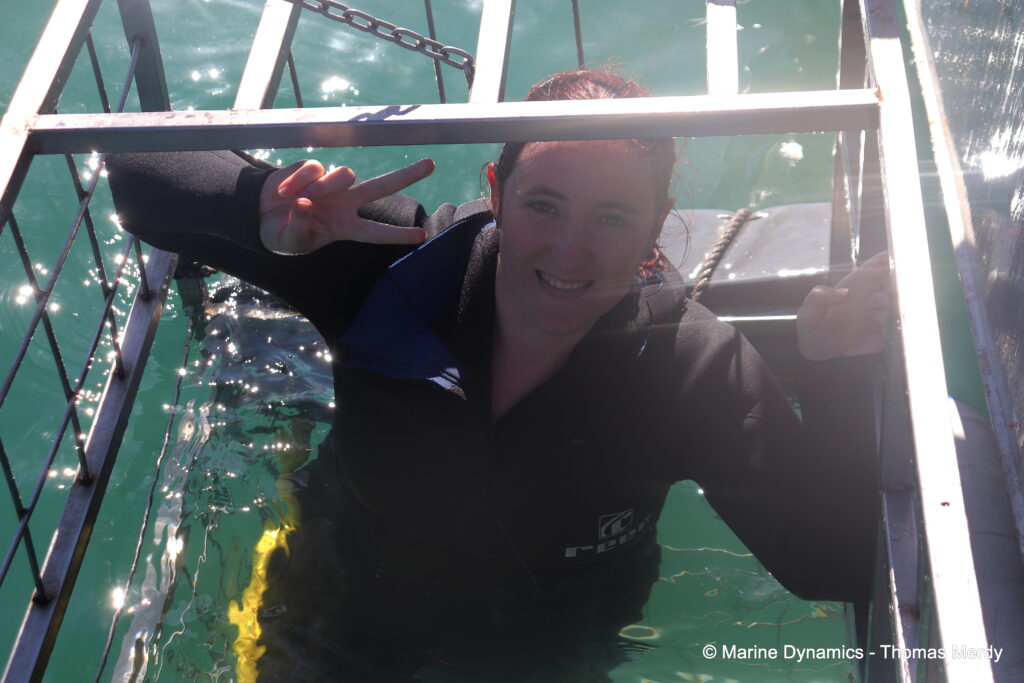 Shark cage diving, South Africa, Gansbaai