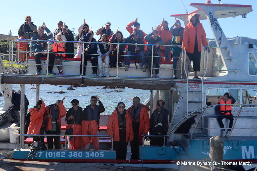 Shark cage diving, South Africa, Gansbaai