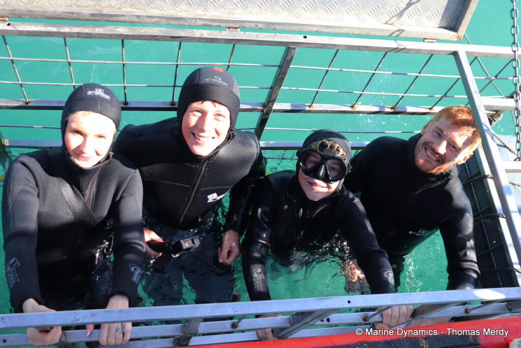 Shark cage diving, South Africa, Gansbaai