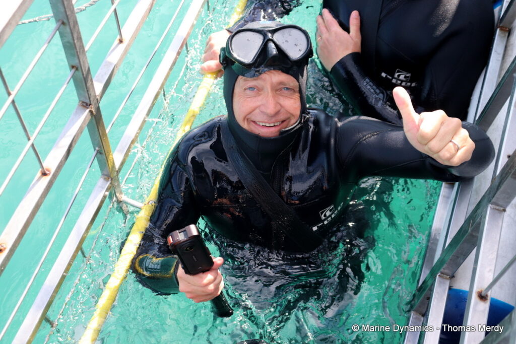 Shark cage diving, South Africa, Gansbaai