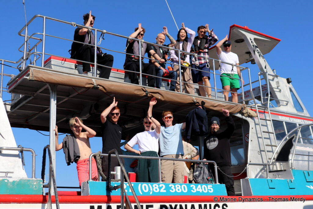 Shark cage diving, South Africa, Gansbaai