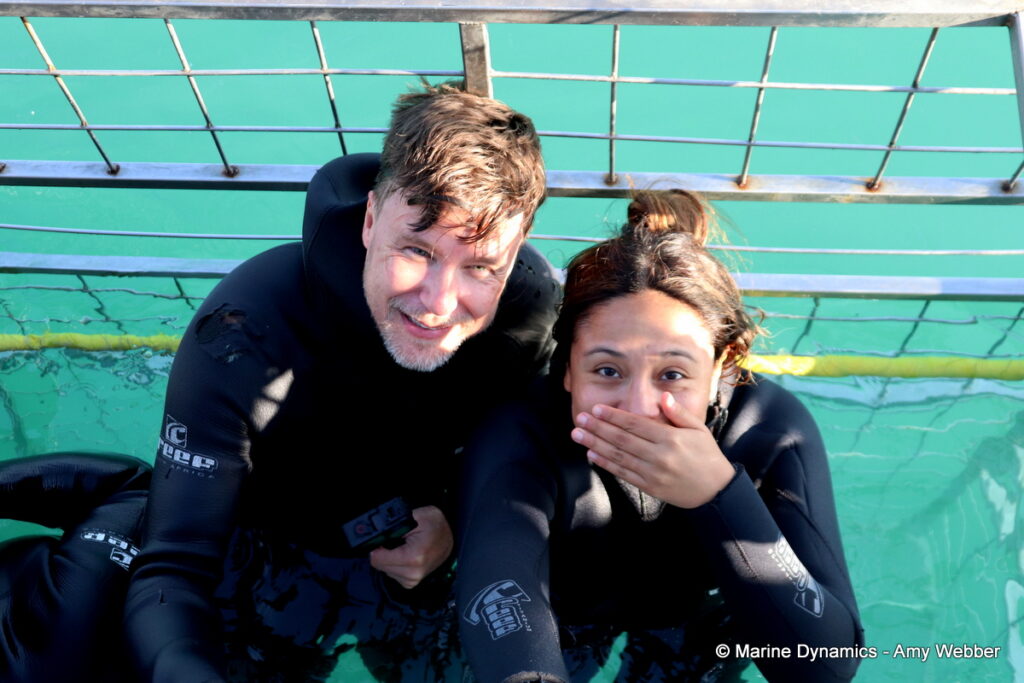 Shark cage diving, Gansbaai, South Africa