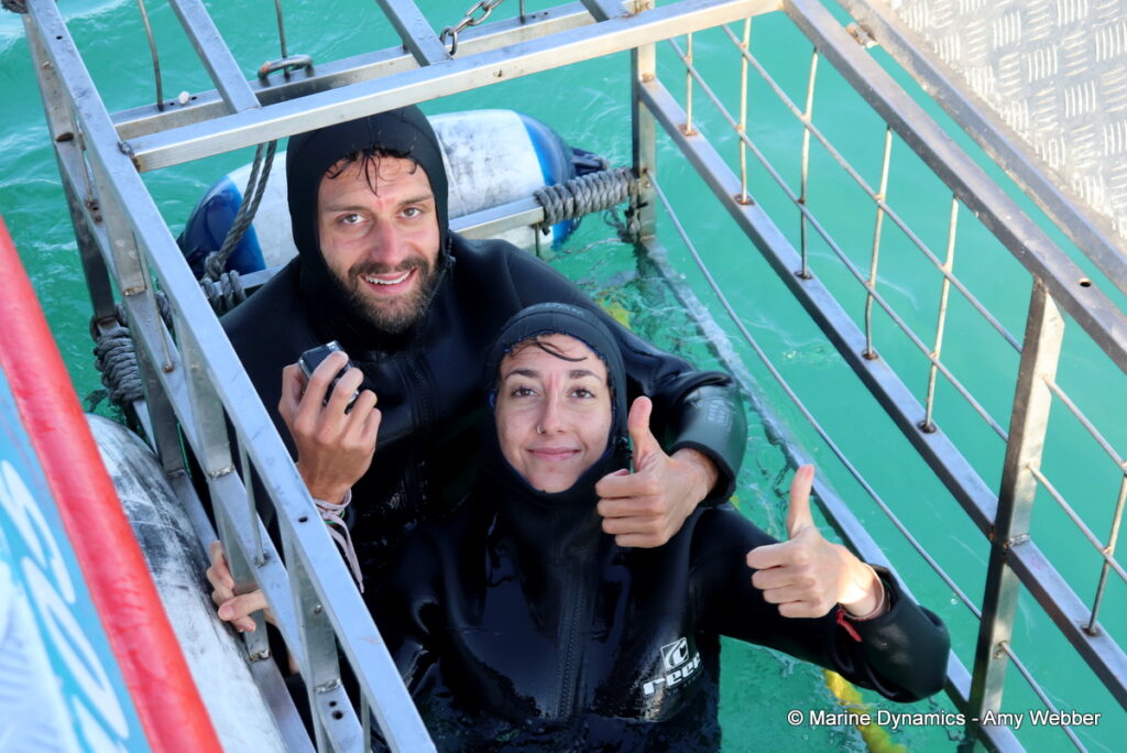 Shark cage diving, Gansbaai, South Africa