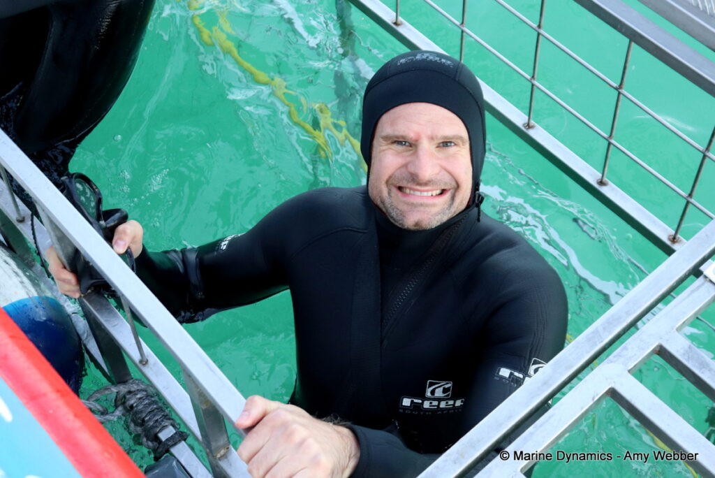 Shark cage diving, Gansbaai, South Africa