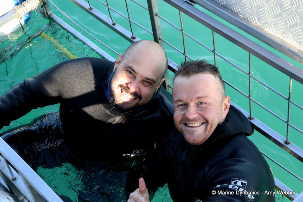 Shark cage diving, Gansbaai, South Africa