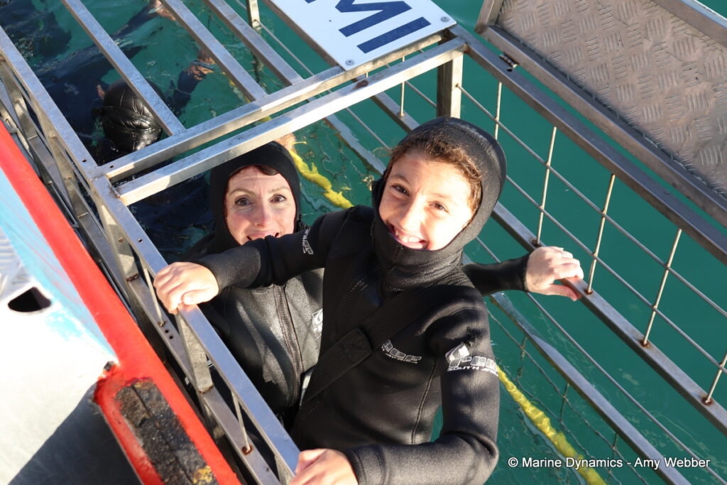 Shark cage diving, Gansbaai, South Africa