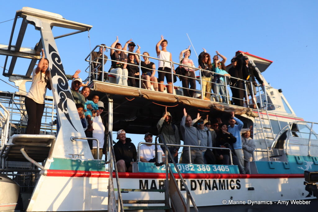 Shark cage diving, Gansbaai, South Africa