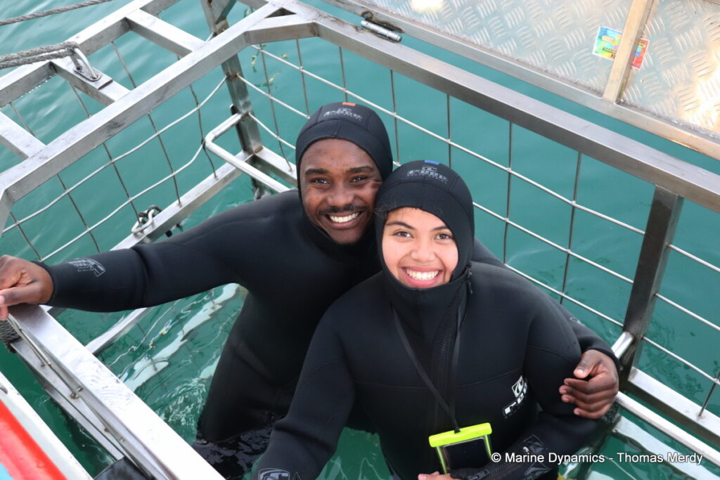Shark cage diving, South Africa, Gansbaai