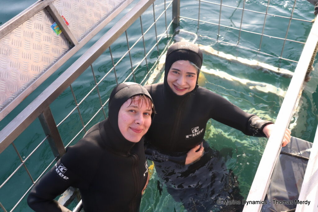 Shark cage diving, South Africa, Gansbaai