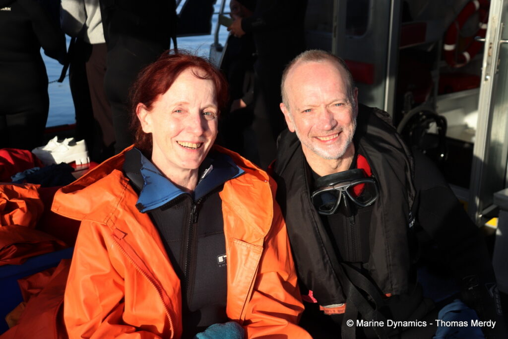 Shark cage diving, South Africa, Gansbaai