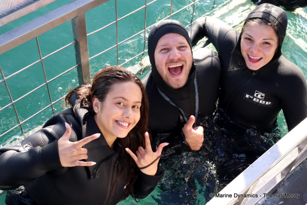 Shark cage diving, South Africa, Gansbaai