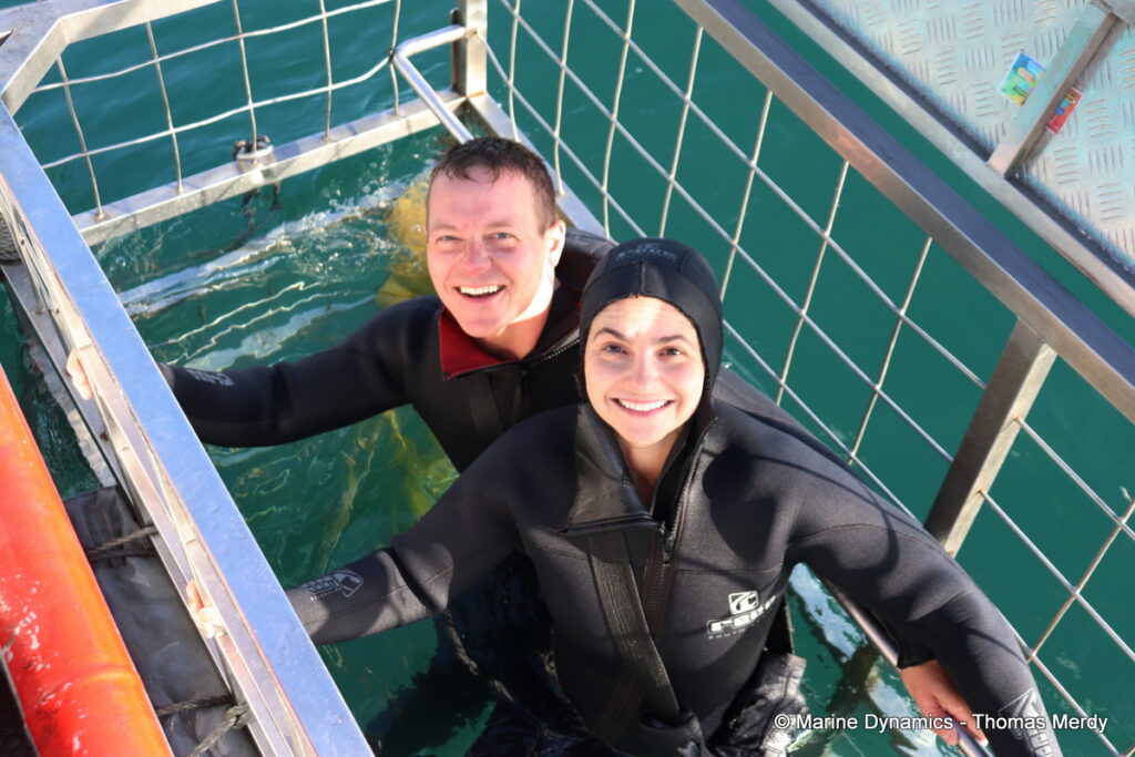 Shark cage diving, South Africa, Gansbaai