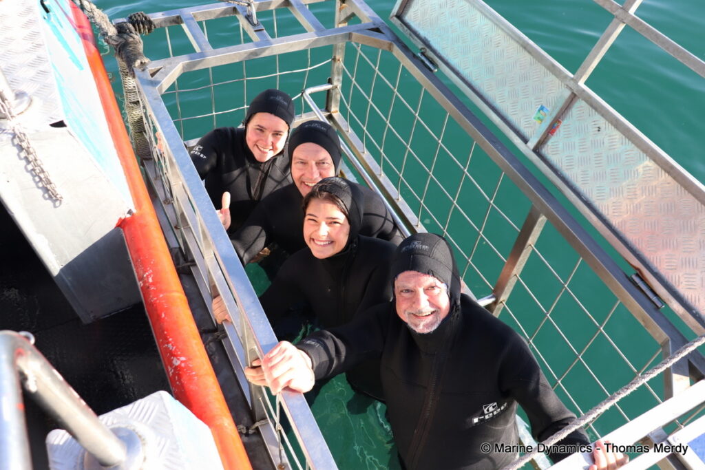 Shark cage diving, South Africa, Gansbaai