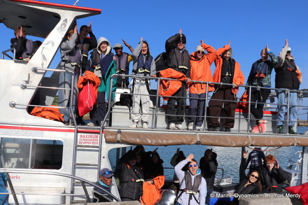 Shark cage diving, South Africa, Gansbaai