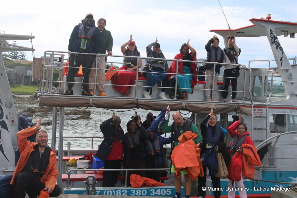 Shark cage diving, South Africa, Gansbaai