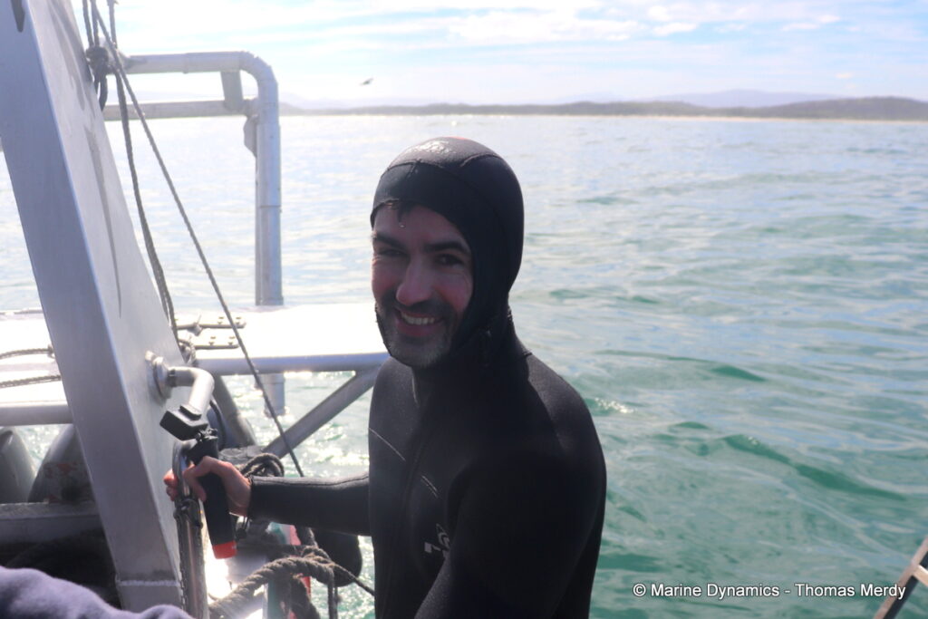 Shark cage diving, South Africa, Gansbaai