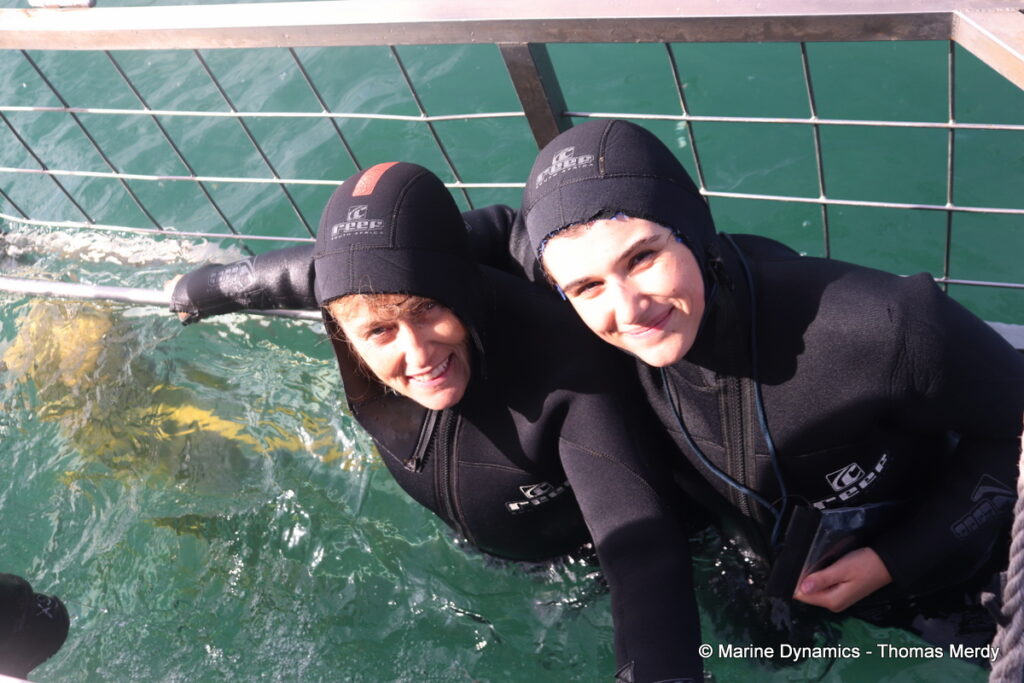Shark cage diving, South Africa, Gansbaai